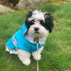 Good2Go Reversible Dog Raincoat